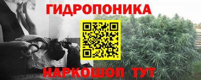 прущие крисы Славгород