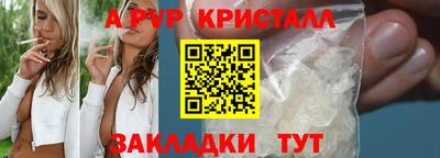 прущие крисы Славгород