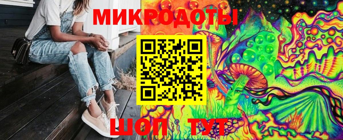 Галлюциногенные грибы Psilocybe Петрозаводск