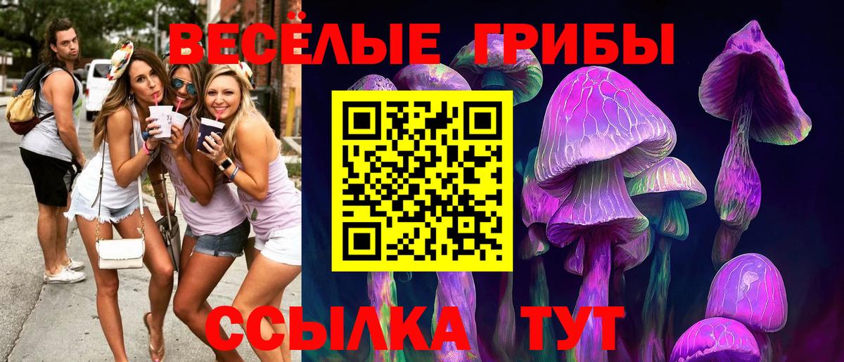 Галлюциногенные грибы MAGIC MUSHROOMS  продажа наркотиков  Петрозаводск  Вход с VPN  Псилоцибиновые грибы мицелий 